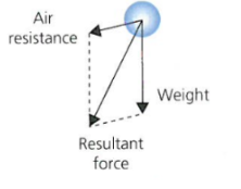 <ul><li><p>resultant force is closer to weight arrow </p></li><li><p>weight is dominant force </p></li><li><p>flight path is parabolic </p></li></ul>