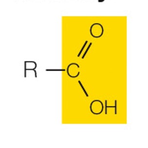 state the name and polarity of this functional group