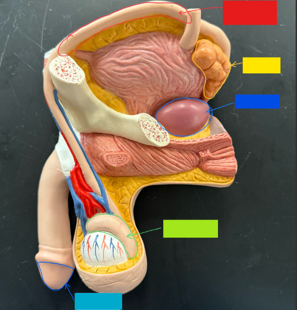 <p>What is the name of the blue box?</p>