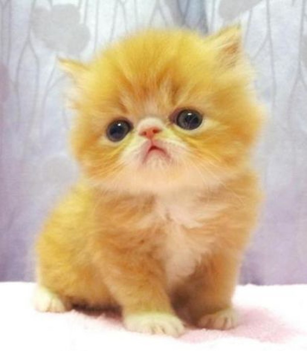 <p>harmless; not hurtful</p>