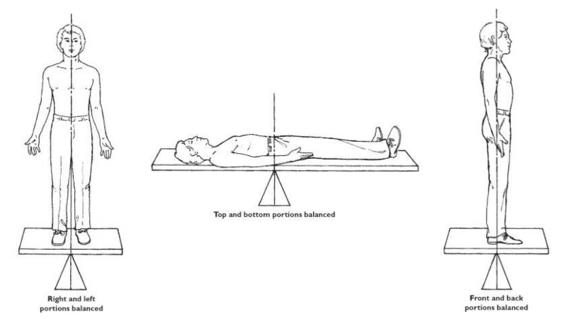 <p>a simple balance procedure using a wooden board where weight is equally distributed in all directions</p>