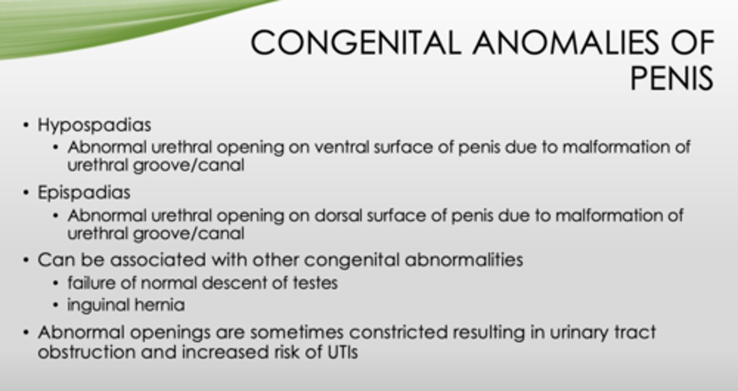 <p>- Failure of normal descent of testes</p><p>- Inguinal hernia</p>