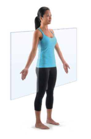 <p>vertical plane that divides the body into anterior and posterior portions</p>