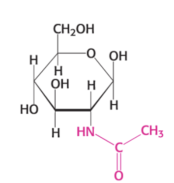 <p>what compound is this?</p>