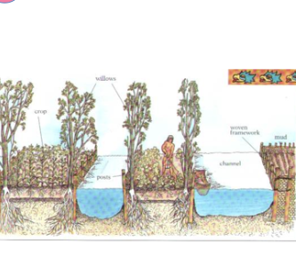 <p>Swamp forming seperated by channels</p><p></p>