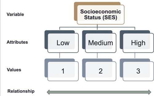 <ol><li><p>Attributes (e.g., low, medium, high) 2. Values (e.g., 1, 2, 3)</p><ol start="3"><li><p>Relationships</p></li></ol></li></ol><p></p>