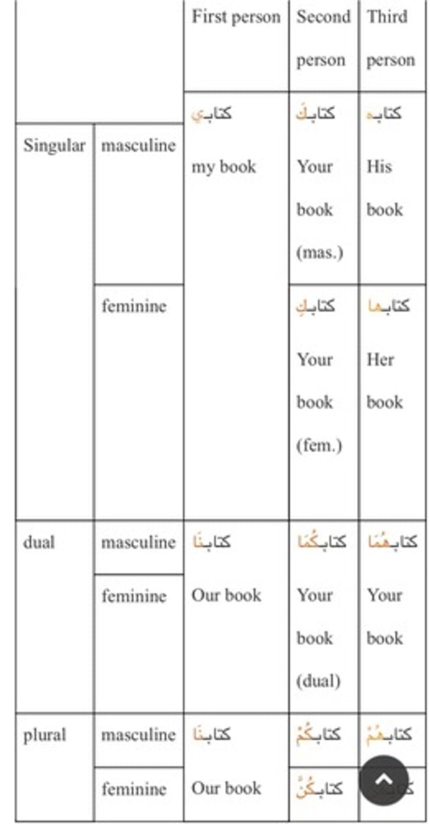 <p>Attached pronouns</p>