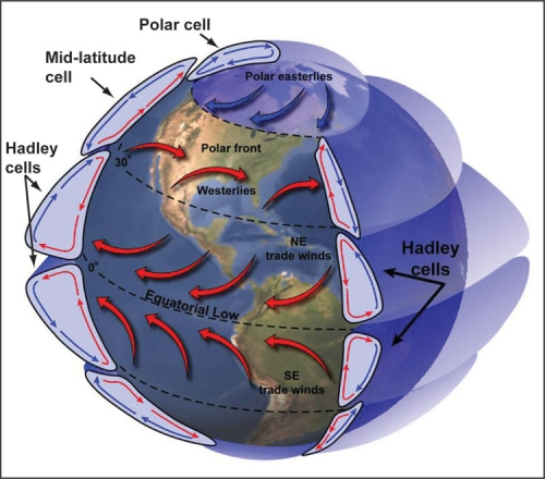 <p>Three pairs of atmospheric cells on a rotating Earth that redistribute heat.</p>