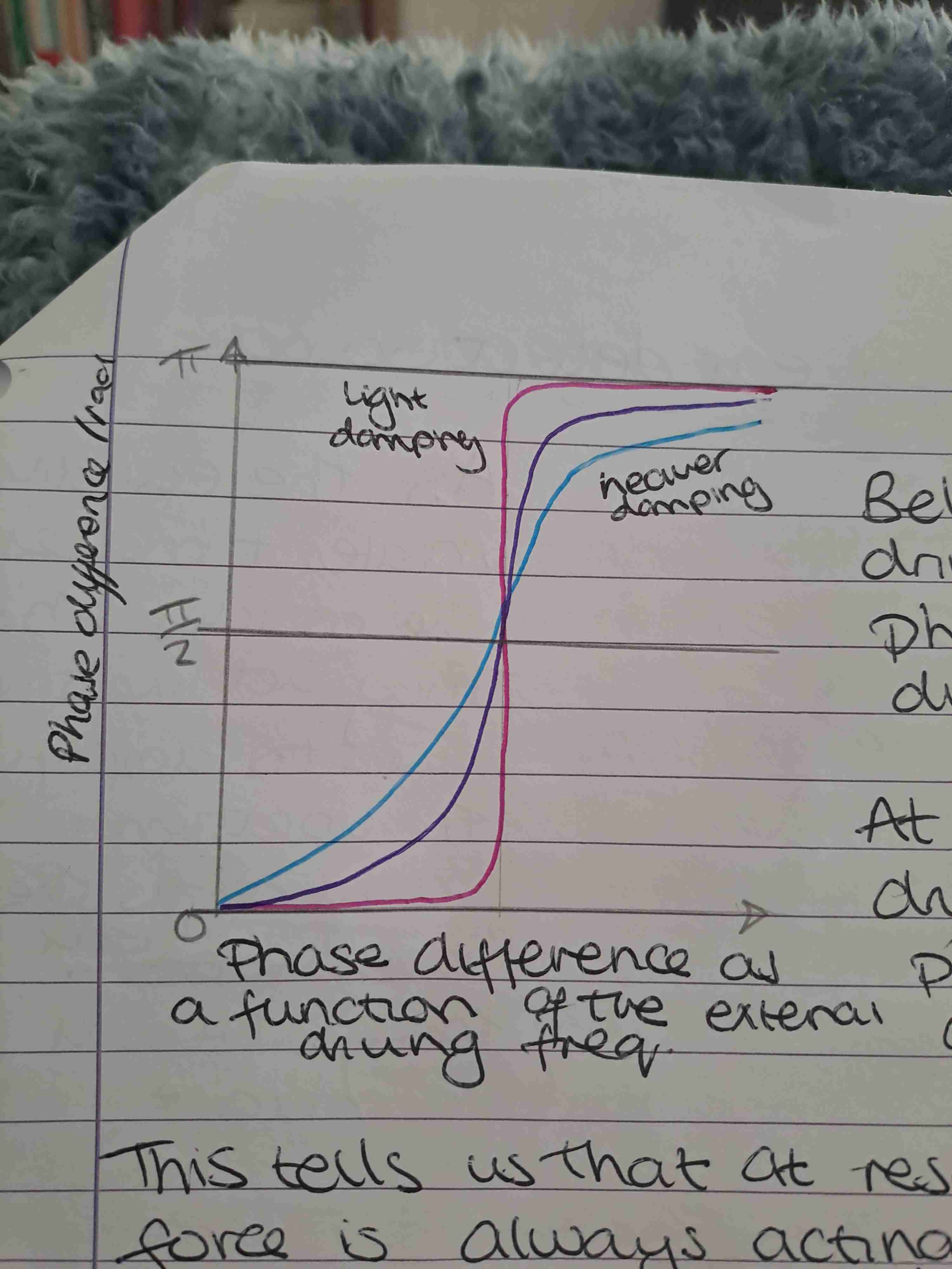 <p>Graph </p>