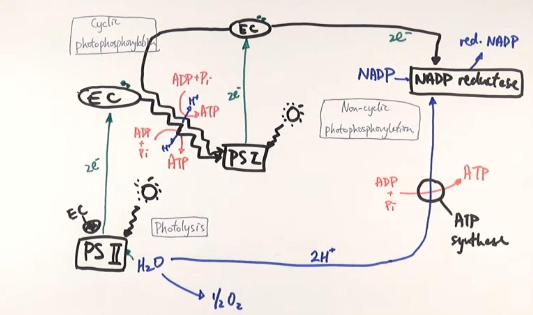 knowt flashcard image