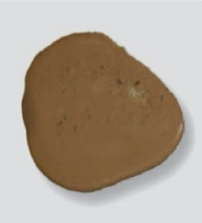 <p>What fecal score is this?</p>