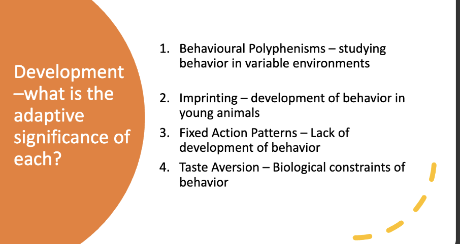 <p>add definitions </p>