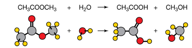<p><span style="background-color: transparent;">Which process is illustrated</span></p>