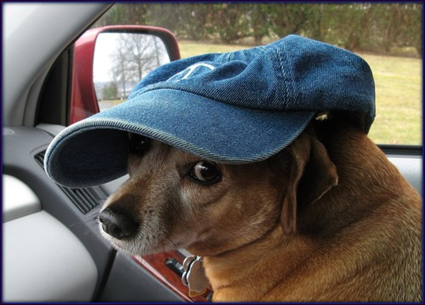 <p>hat</p>
