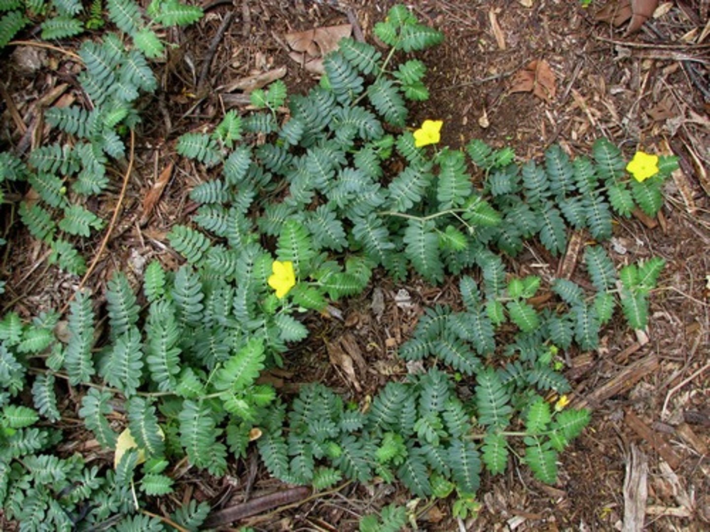 <p>Name?</p>