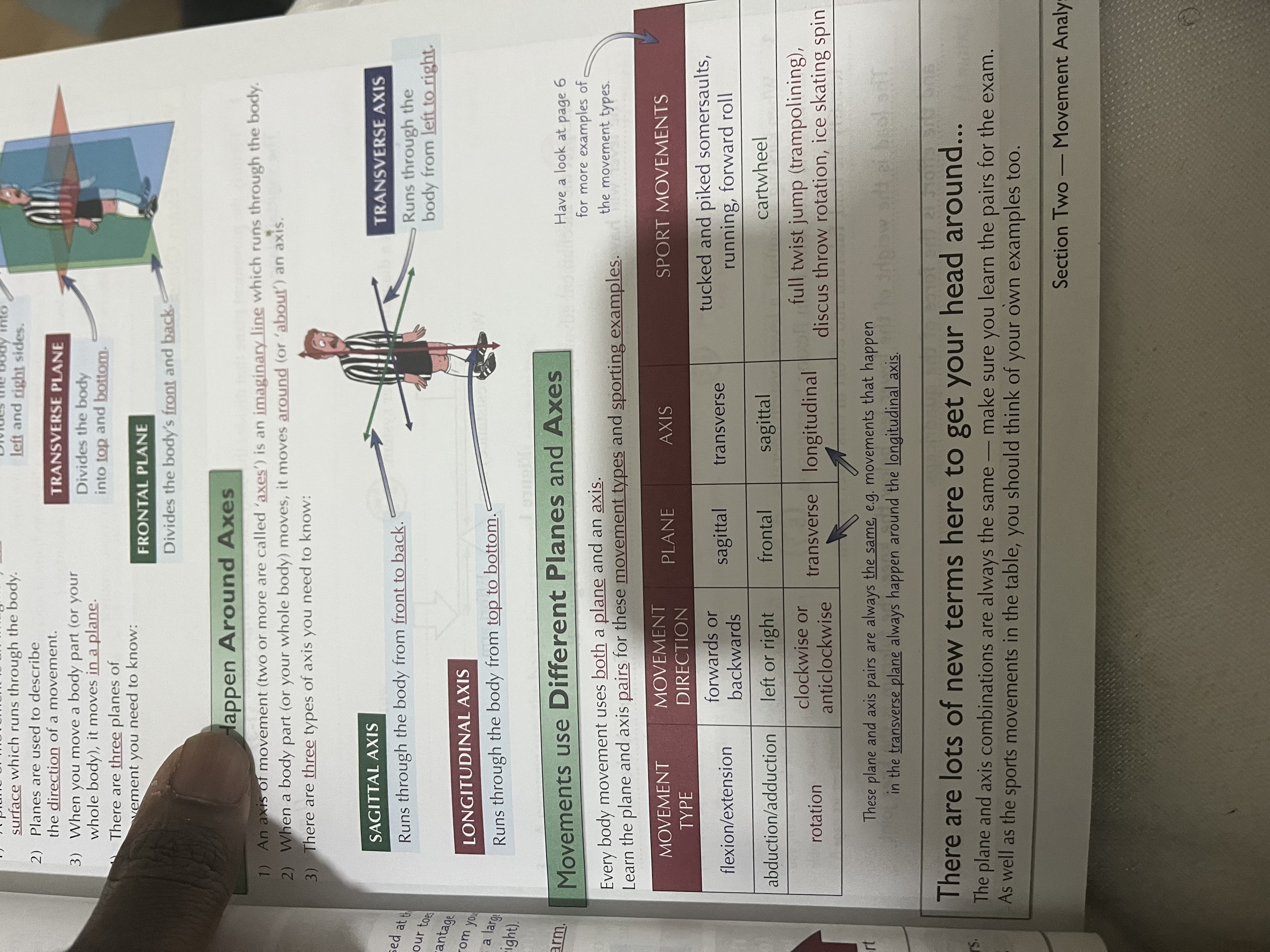 knowt flashcard image