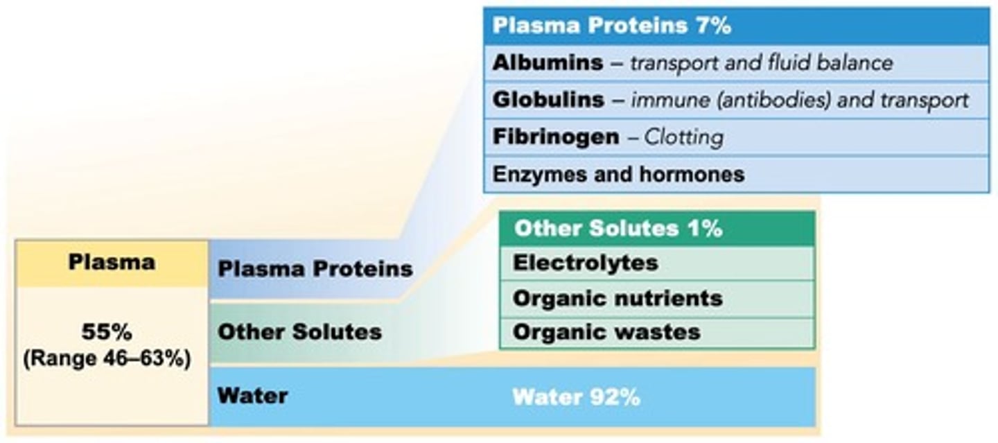 <p>Aqueous component of blood, contains proteins and solutes.</p>