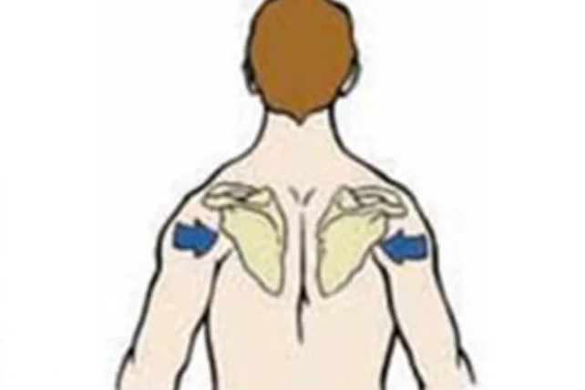 <p>what is this scapular rotation?</p>