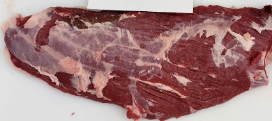 <p><span>Splenius</span></p>