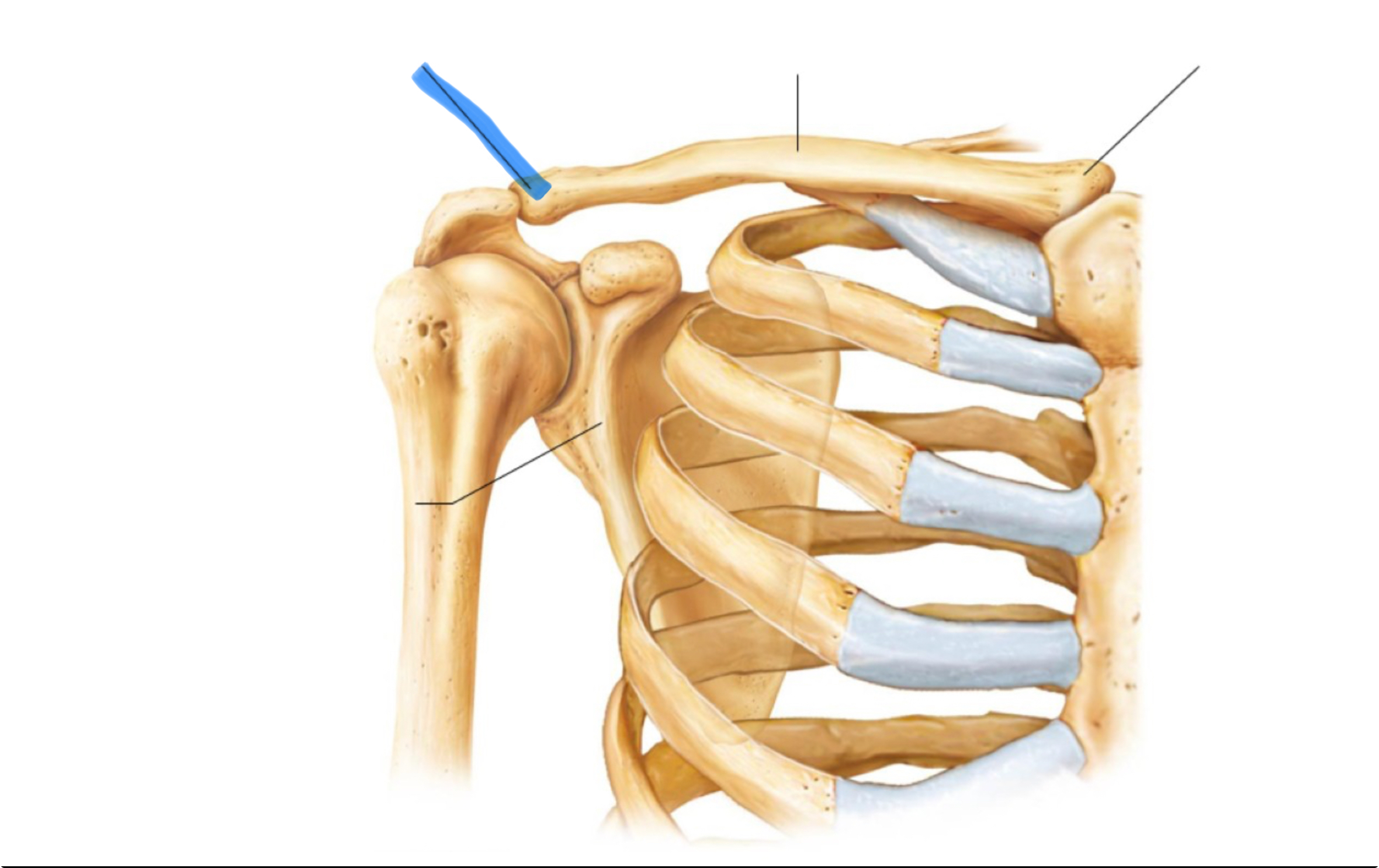 <p>What marking is this?</p>