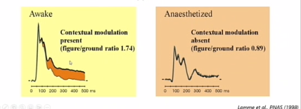 <p>sit 1 onder anesthesie, ogen wel openhouden en dit bekijken</p><p>anesthesie : feedforward act iets minder is maar niet heel radicaal veranderd, maar feedback volledig afwezig is.&nbsp;</p><p></p><p>dus feedback cruciaal voor bewustzijn?</p>