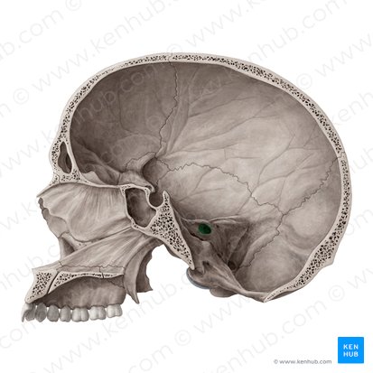 <p><span><span>bony canal within the petrous portion of the temporal bone, acting as a passageway between the posterior cranial fossa and the inner ear</span></span></p>