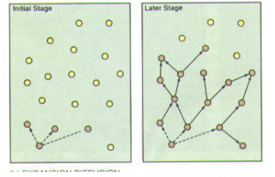 <p><span>The process whereby a phenomenon of interest (e.g information, a material artifact, a disease),<strong> spreads from one place to another.</strong></span></p><ul><li><p><span>In this expansion process, the item being diffused remains, and often intensifies, in the originating region, but new areas are also occupied by the item in subsequent time periods.</span></p></li><li><p><span>t1, t2, t3 denotes time 1, 2 and 3 respectively<br></span></p></li></ul><p><span><br></span></p>