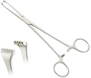 <p>Allis clamp</p>