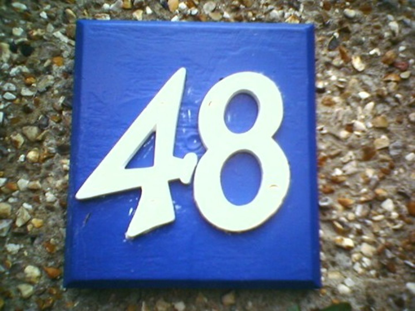 <p>forty-eight-48</p>