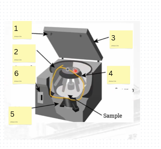 <p>label the parts</p>