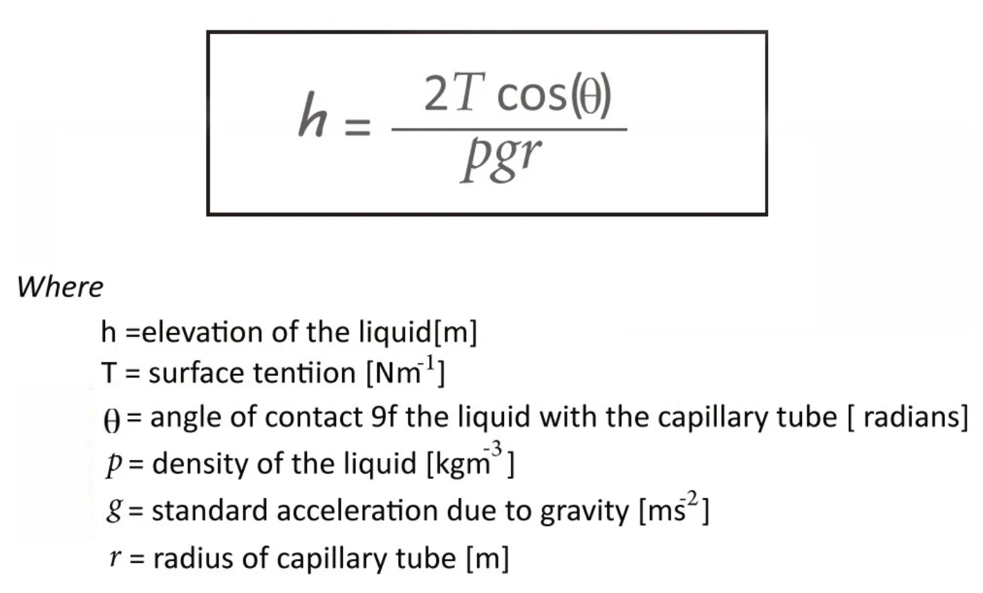 <p>The ability of a liquid to flow in narrow spaces without external forces, due to surface tension.</p>