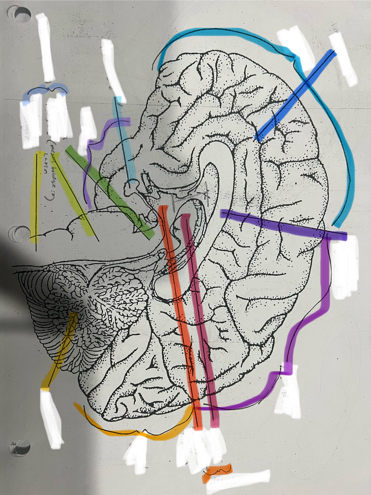 <p>teal</p>