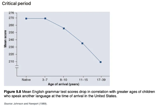 <p><strong>Language Deprivation</strong> refers to the absence of exposure to language during a crucial developmental period, which can lead to significant impairments in language acquisition. This concept highlights the importance of <strong>experience</strong> in developing language skills.</p><p><strong>Key Points:</strong></p><ol><li><p><strong>Critical Period for Language</strong>:</p><ul><li><p>The <strong>critical period</strong> is a specific time in development during which <strong>language</strong> (or other cognitive skills) must be learned. If linguistic experience is absent during this time, it becomes much harder, or even impossible, to fully acquire language later in life.</p></li><li><p>This period typically occurs in early childhood, and without exposure to language, children may experience severe and lasting language deficits.</p><p></p></li></ul></li><li><p><strong>Impact of Deprivation</strong>:</p><ul><li><p>If children are deprived of language during this <strong>critical period</strong>, they may never fully develop language abilities or suffer from <strong>severe language impairments</strong>.</p><p></p></li></ul></li><li><p><strong>Case Studies</strong>:</p><ul><li><p><strong>Victor, the "wild child"</strong>: A boy found in the 18th century who had grown up isolated from human contact. Despite attempts to teach him language, he never fully acquired normal language skills.</p></li><li><p><strong>Genie</strong>: A girl discovered in the 1970s who had been severely isolated and deprived of language exposure during her early years. Despite rehabilitation efforts, her language abilities remained profoundly impaired, highlighting the critical period's importance.</p></li></ul></li></ol><p></p>