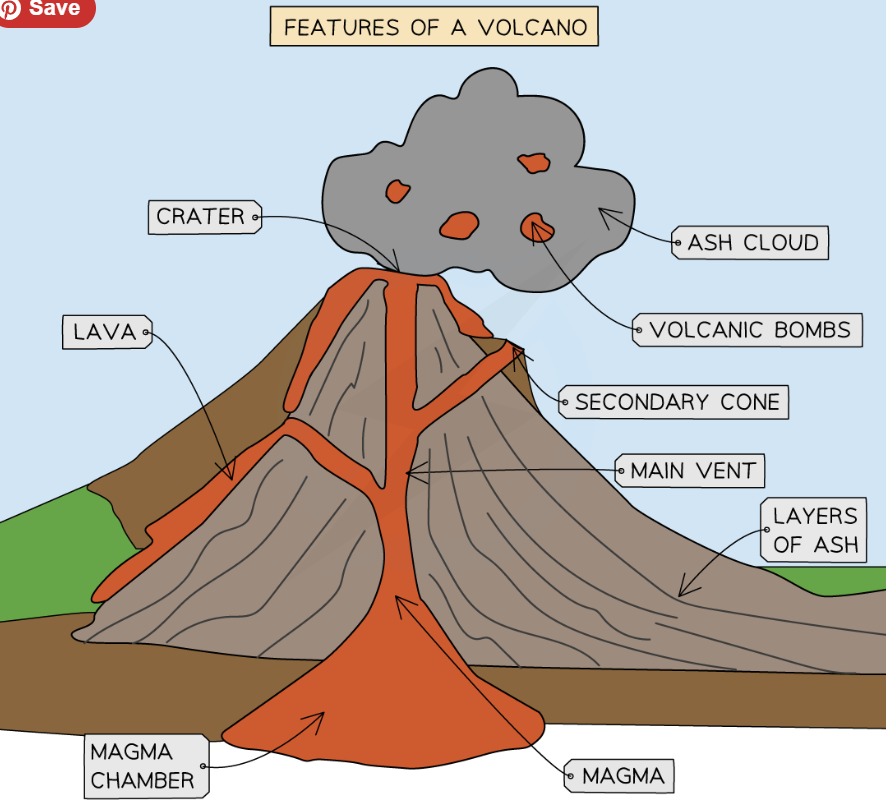 <ol><li><p>Crater</p></li><li><p>Secondary cone</p></li><li><p>Main Vent</p></li><li><p>Lava</p></li><li><p>Volcanic bombs</p></li><li><p>Ash cloud</p></li><li><p>Layers of Ash</p></li></ol><p></p>