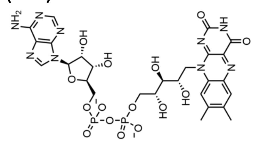 <p>Reduction by 1 or 2 electrons </p>
