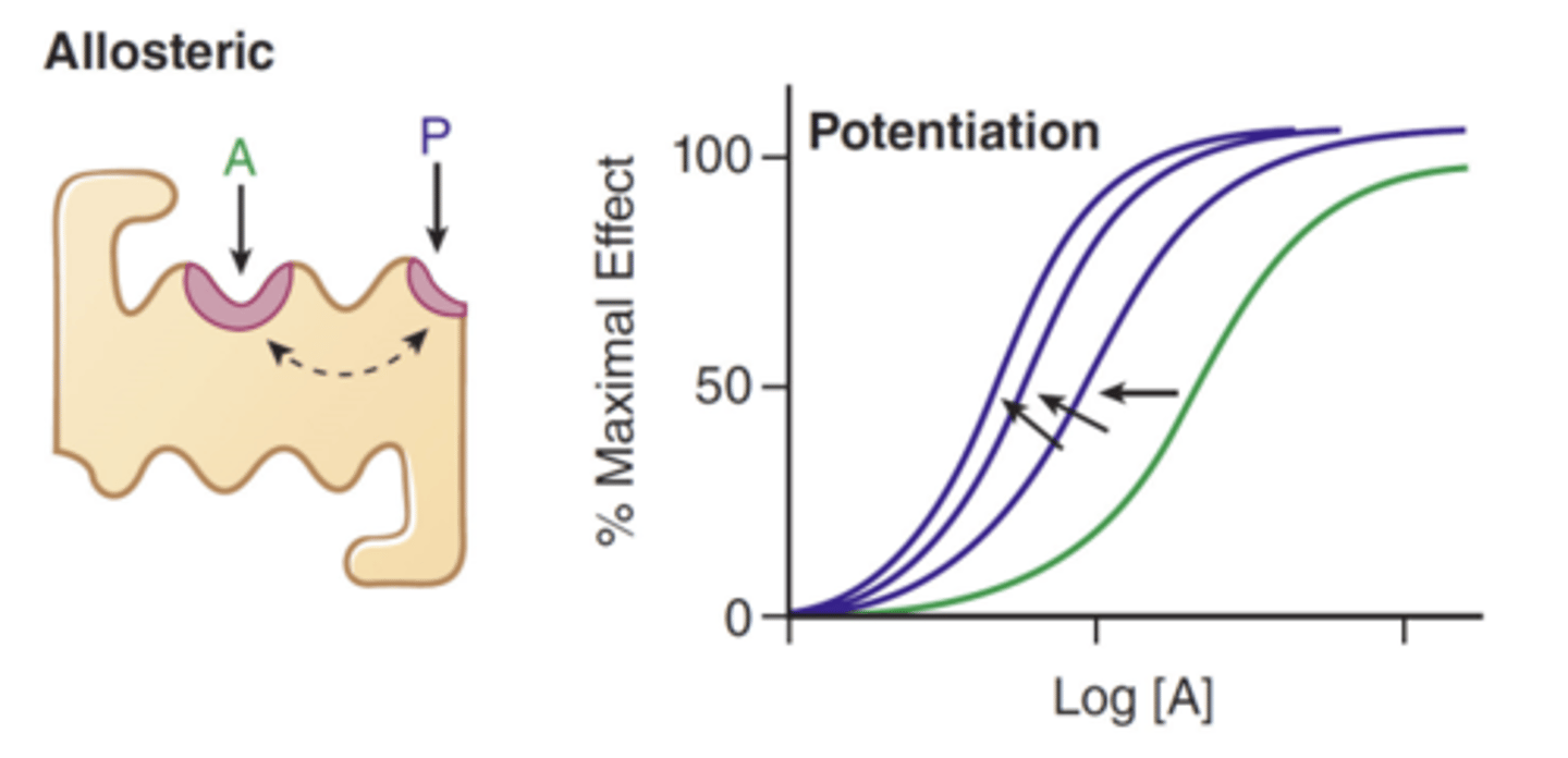 <p>Drugs that bind to site(s) different from the agonist site(s) but enhance the agonist-activated receptor</p><p>- mediated by an allosteric mechanism* (conformation change that enhances effect)</p>