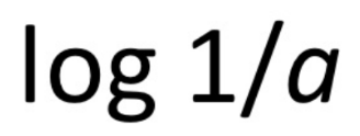 term image