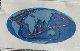 knowt flashcard image