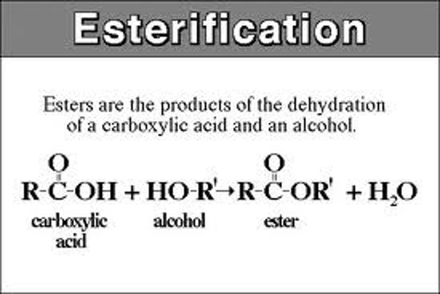 <p>turns a carboxylic acid into an ester (by reacting with an alcohol)</p>
