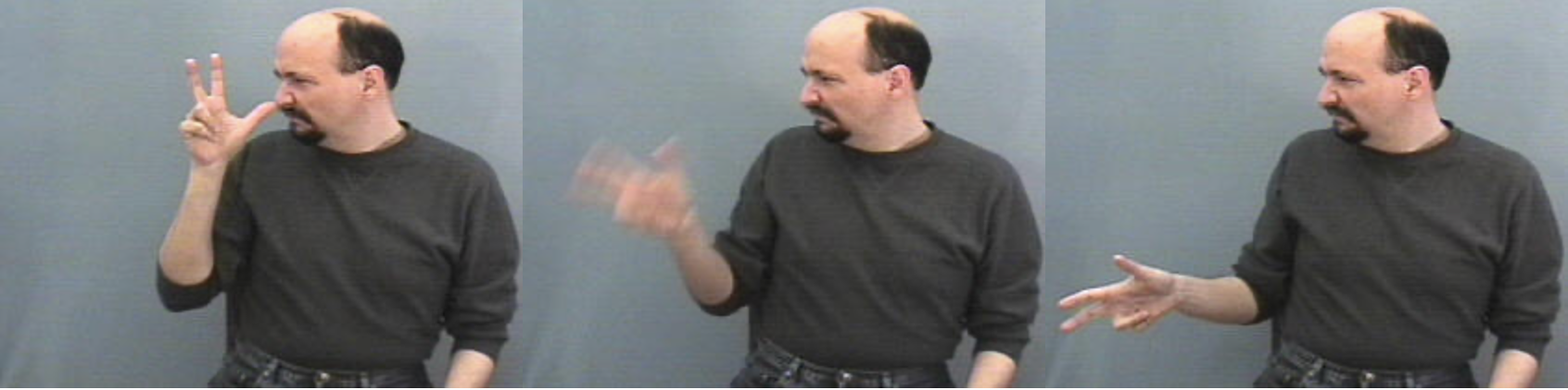 <p>Form a “3” handshape with your left hand and touch the thumb-tip to your nose.&nbsp; Then very quickly move the hand forward and downward. Use a "lousy" facial expression. (photo is a side-view!)</p>