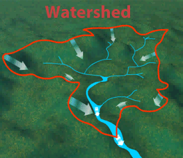 <p>The <u>area of land</u>, including water, that <u>drains</u> into a <u>larger body of water</u>.</p>