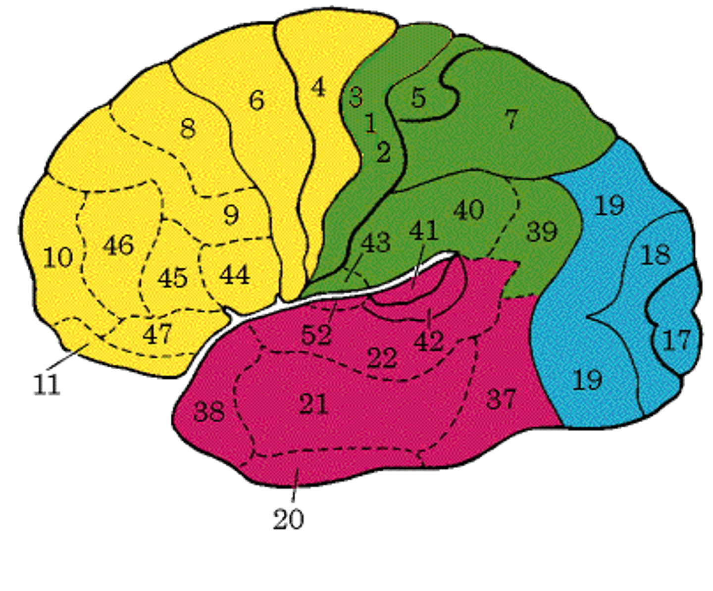 <p>(adj.) Taking all or nearly all aspects of something into consideration</p>