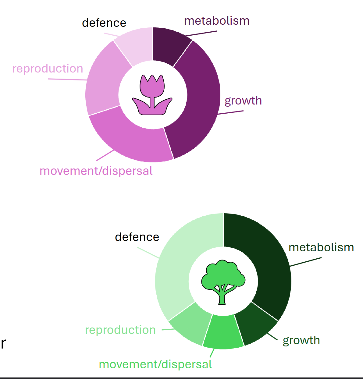 <ul><li><p><span><span>Energy budget</span></span></p></li><li><p><span><span>Energy must be allocated to different uses</span></span></p></li><li><p><span><span>Metabolism, Growth, Movement/dispersal, Reproduction, Defense</span></span></p></li><li><p><span><span>Investing more in one trait means investing less in another</span></span></p></li></ul><p></p>