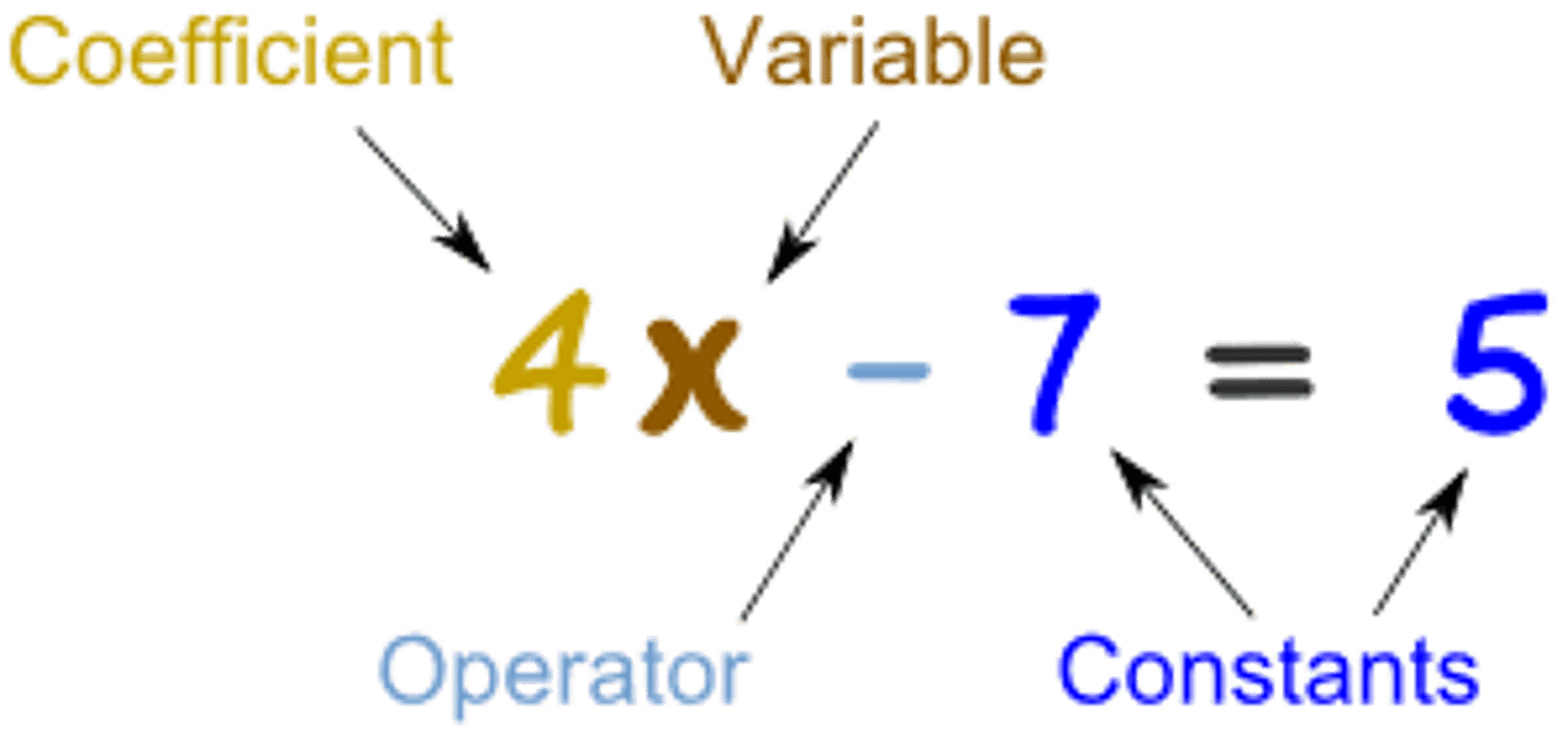 <p>A number without a variable</p>