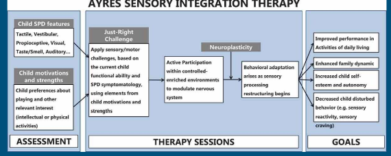 <p>A therapy that focuses on reducing sensory difficulty in daily life, increases children self esteem, improve family dynamics and quality of life. It is made up of “fair” challenges to the child. It relies on neural plasticity, enriched environments, and active participation </p>