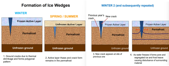 <p>In extremely cold places once the water is frozen in mid-winter the permafrost cracks, and these cracks form in a polygonal pattern. Cracks provides access for water from the surface and within the cracks ice forms ice wedges. The more severe the cooling, the denser the polygons. These grow in areas of continuous permafrost and when ice is melted, the cast fills with sediment.</p>