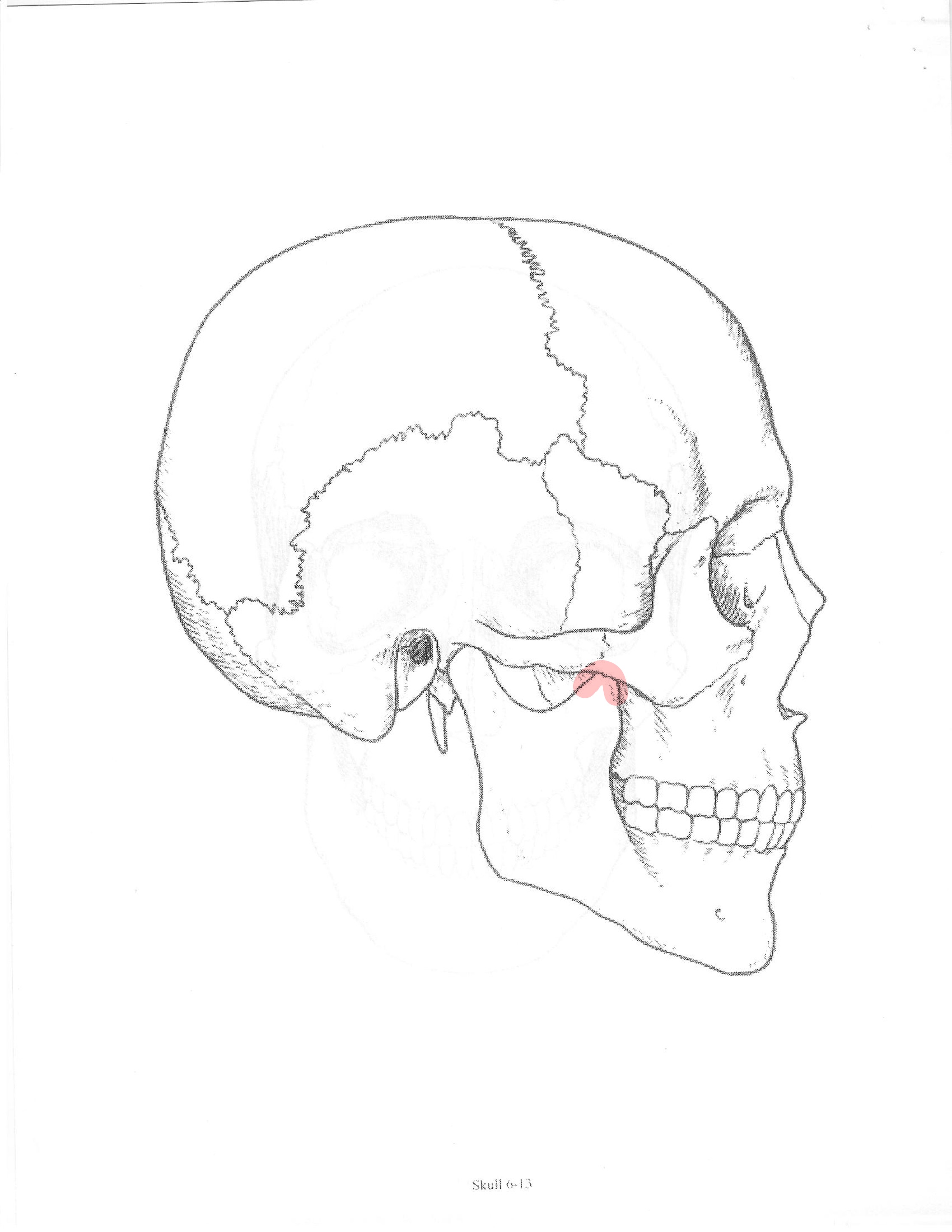 <p>ID feature</p>