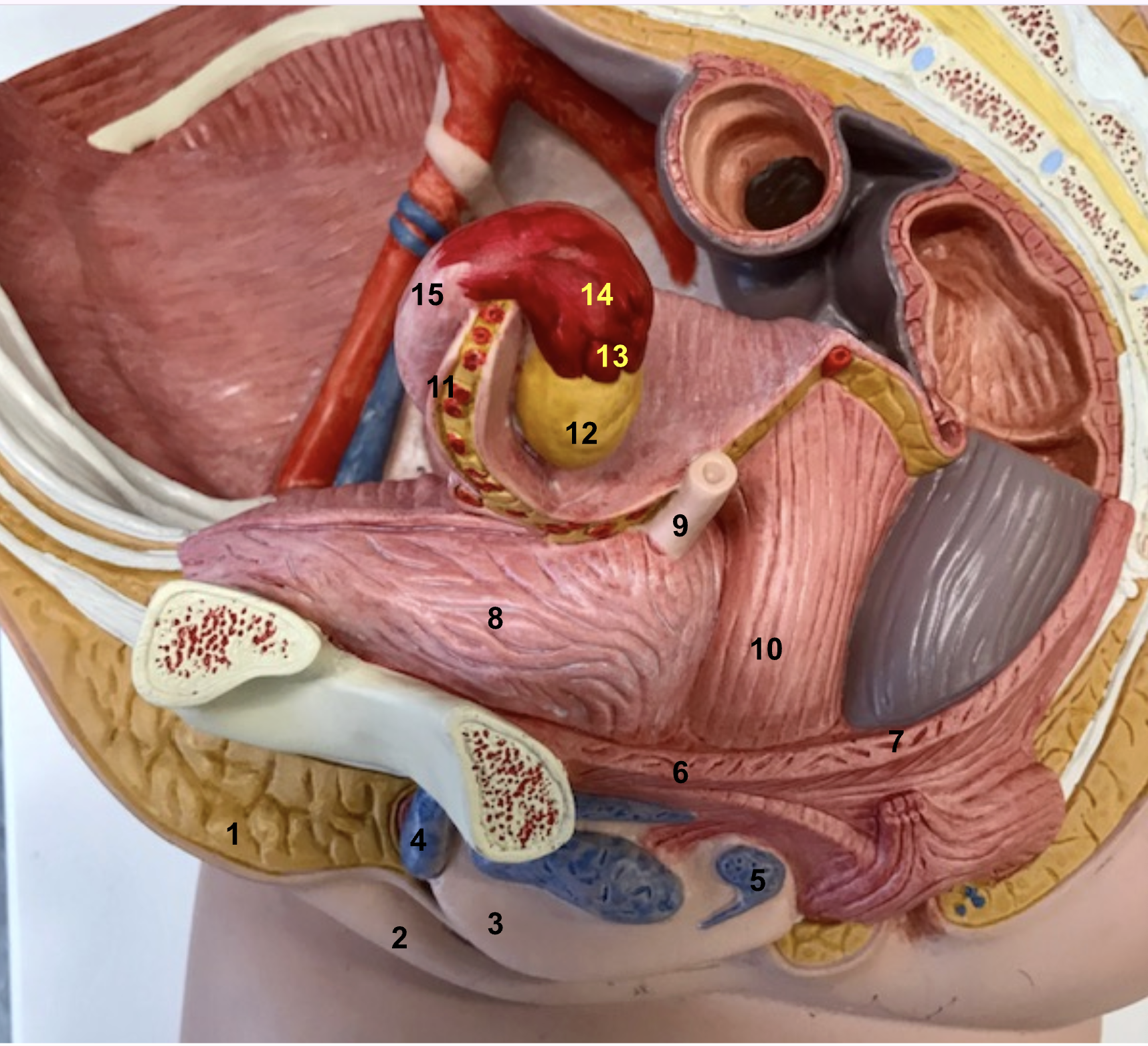<p>What is number 3?</p>