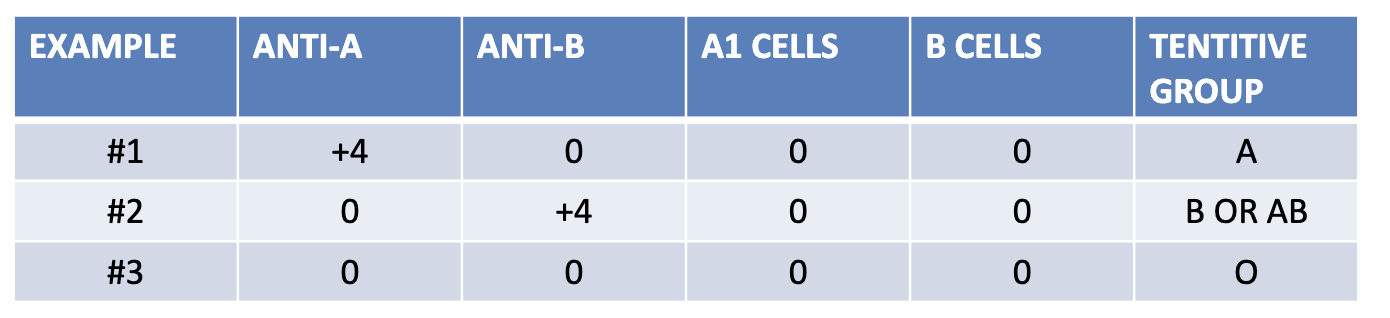 <p>which example presents a geriatric patient?</p>
