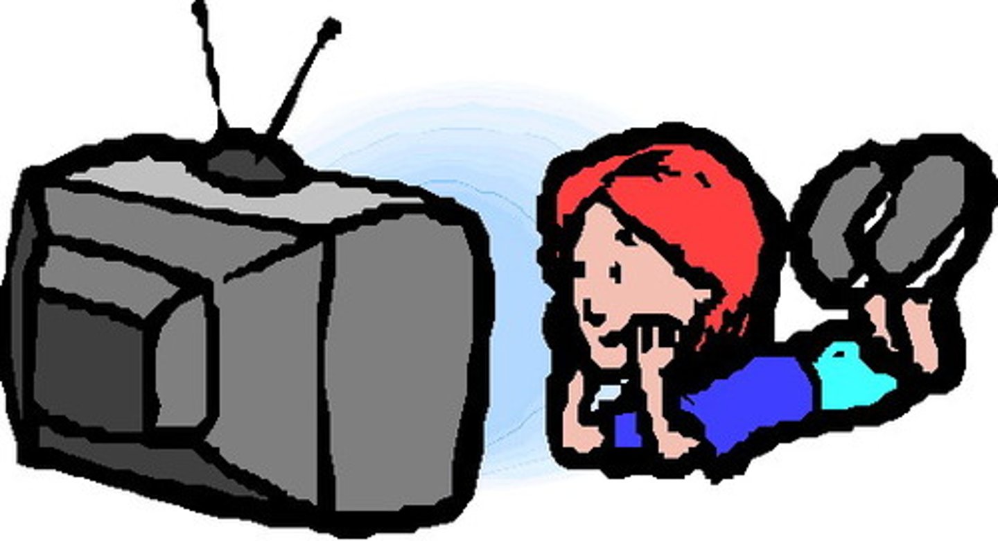 <p>TV viewer</p>